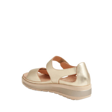 Load image into Gallery viewer, Ziera Gedd Cafe-Pale