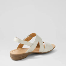 Load image into Gallery viewer, Supersoft Bills