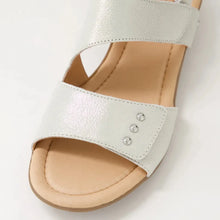 Load image into Gallery viewer, Supersoft Bills