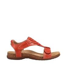 Load image into Gallery viewer, Taos Wonderful Bruschetta