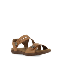 Load image into Gallery viewer, CBD Trophy Tan