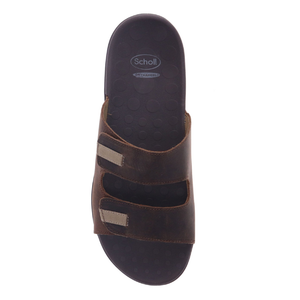 Scholl Connor Brown