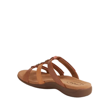 Load image into Gallery viewer, Taos Prize Harvest