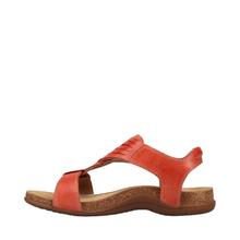 Load image into Gallery viewer, Taos Wonderful Bruschetta