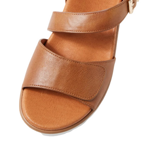 Ziera Vamsy Tan-White