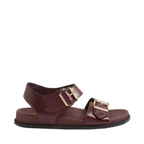 Ziera Hastice Merlot