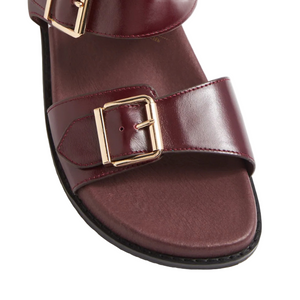 Ziera Hastice Merlot
