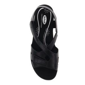 Scholl Casey Black